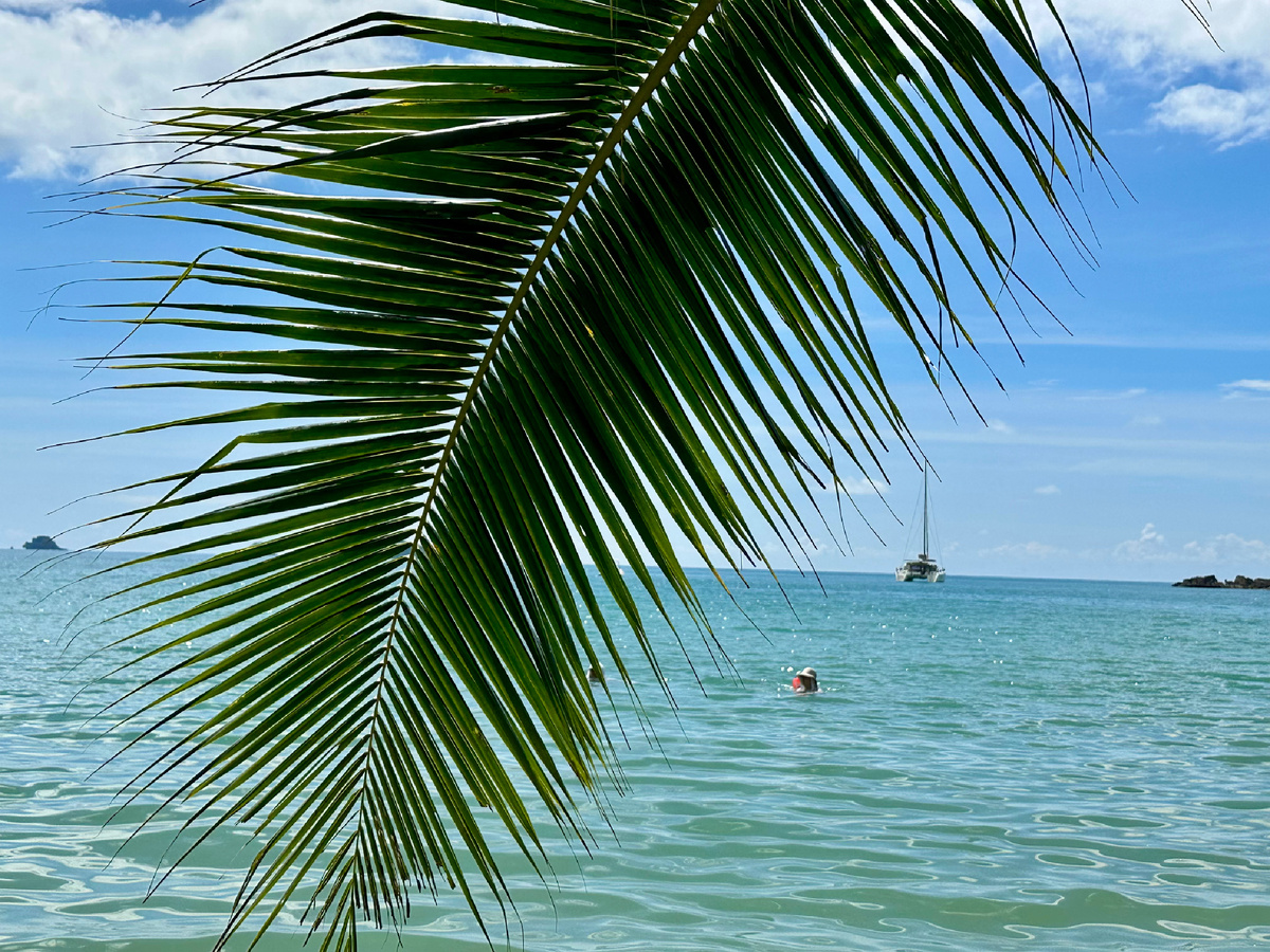 Таиланд под пальмой. Шел 41-й день.