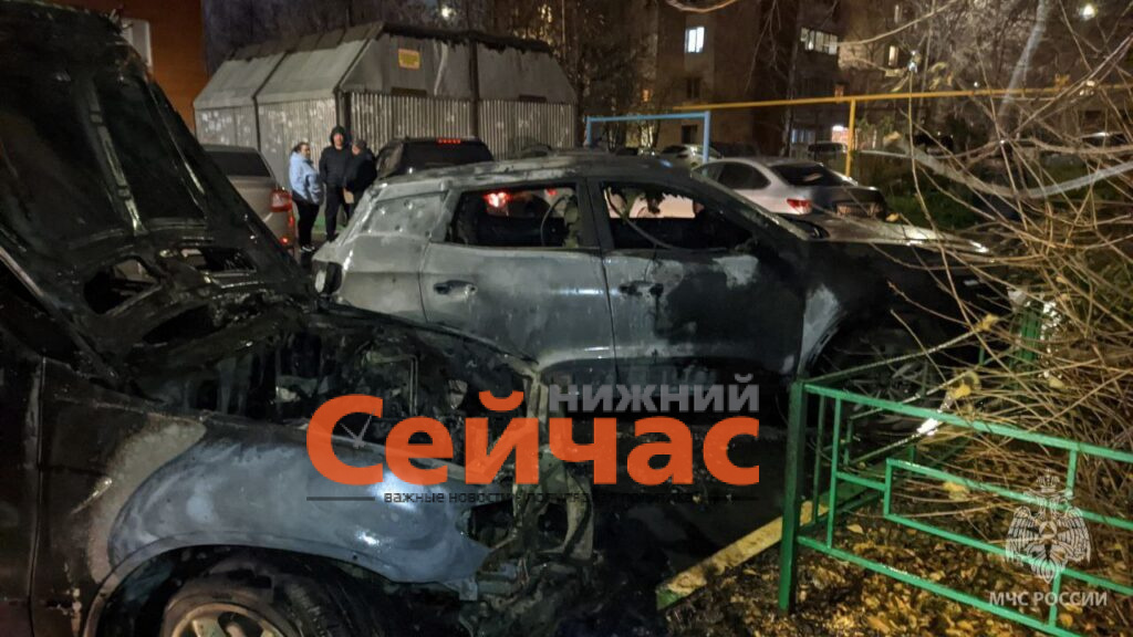    Фото: ГУ МЧС России по Нижегородской области Редакция nn-now