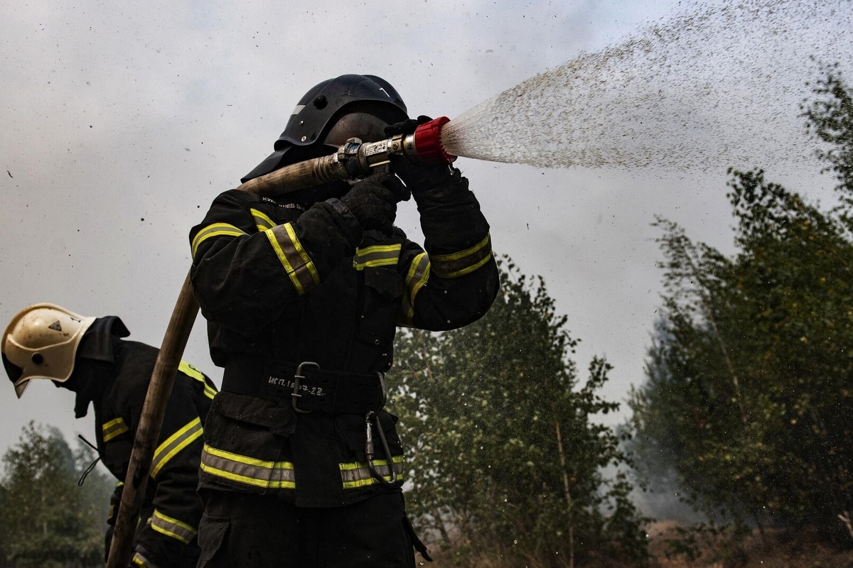    Фото: Валерий Мельников, источник: ria.ru