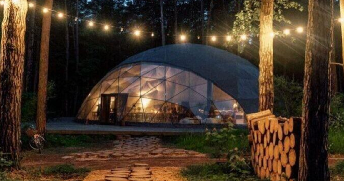    Фото: Министерство культуры и туризма Московской области