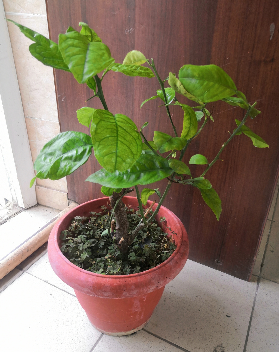 Фото из архива Галины Таран