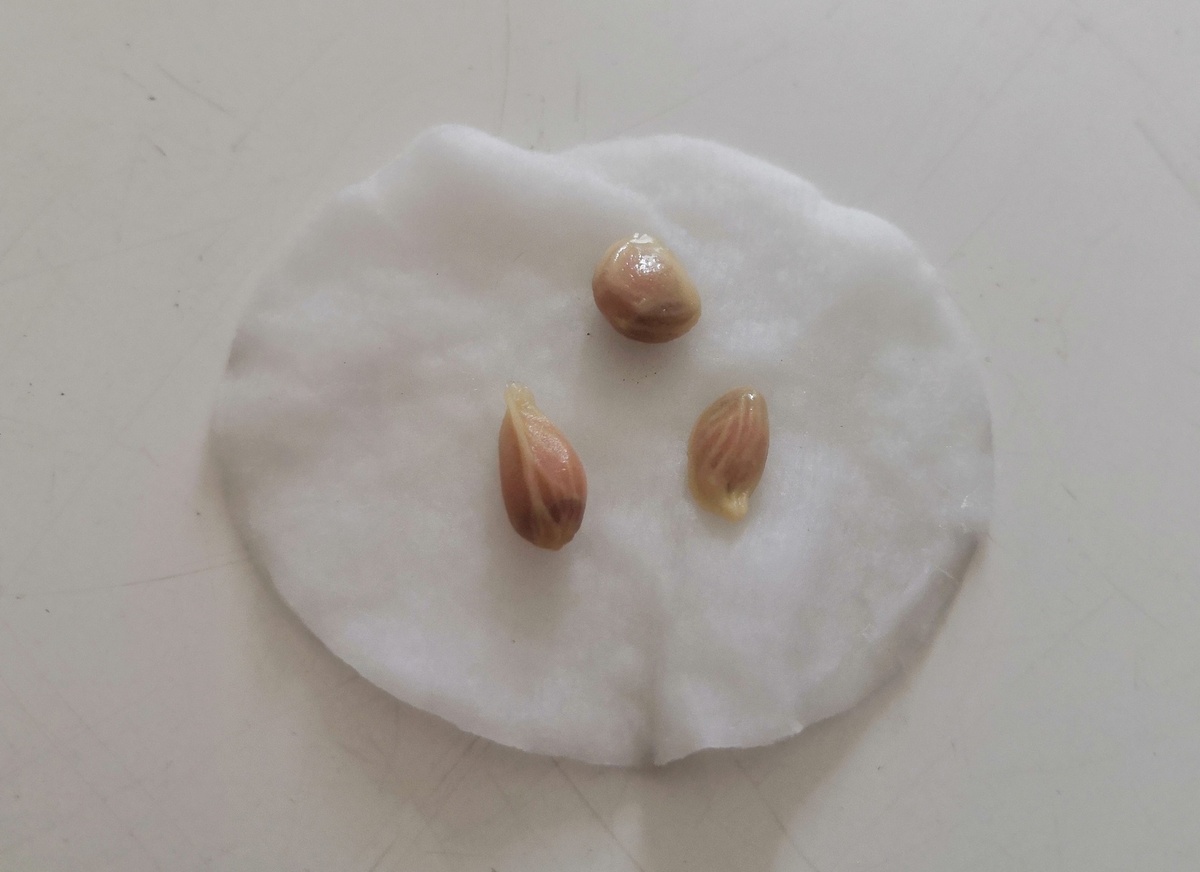 Фото из архива Галины Таран