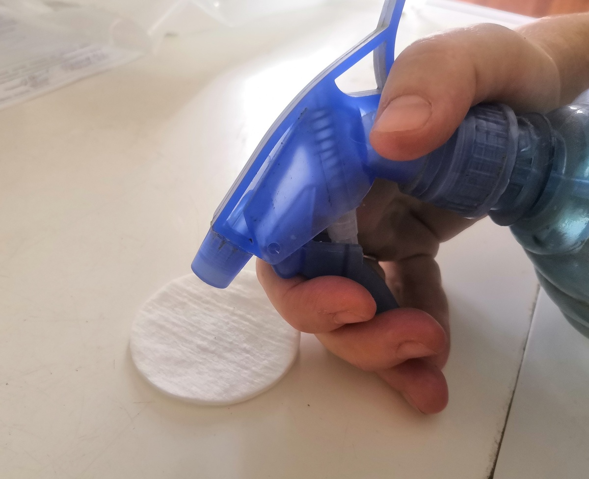 Фото из архива Галины Таран