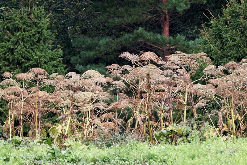    Сергей Петров/NEWS.ru