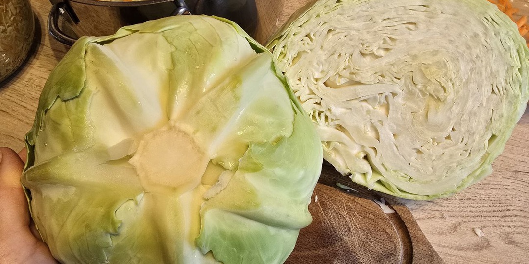 Как квасить капусту. Три рецепта от бабушки