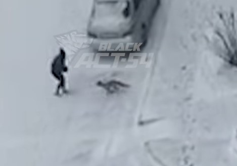    Фото и видео: АСТ-54