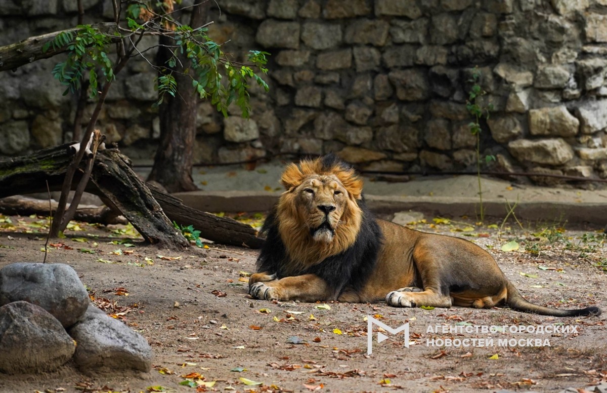 Фотограф: Александр Авилов