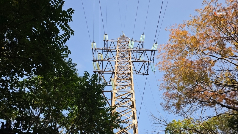      Фото: Дмитрий Ахмадуллин / / ИА «Победа26»