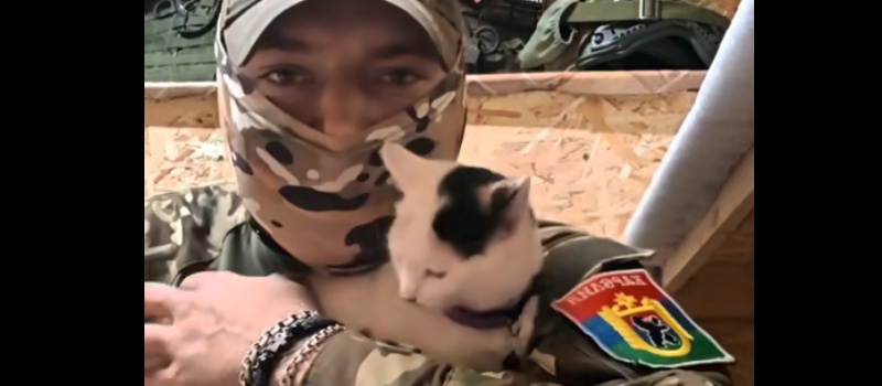    скрин видео