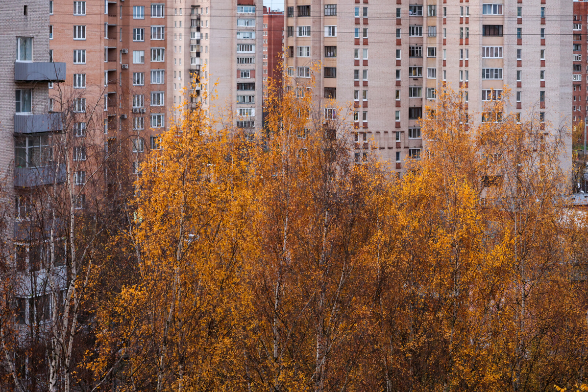 Фото: Олег Золото / «Вечерний Санкт-Петербург»
