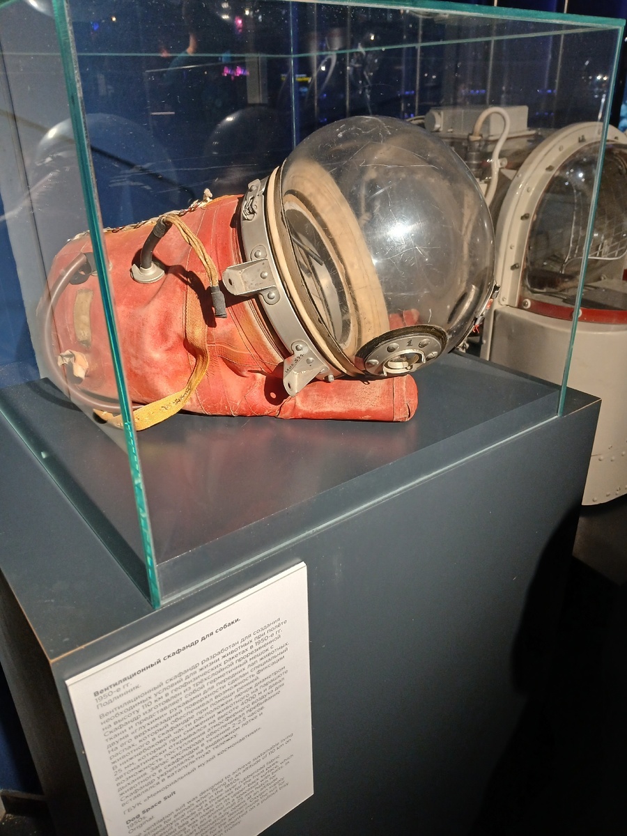 Скафандр первых космонавтов-собак