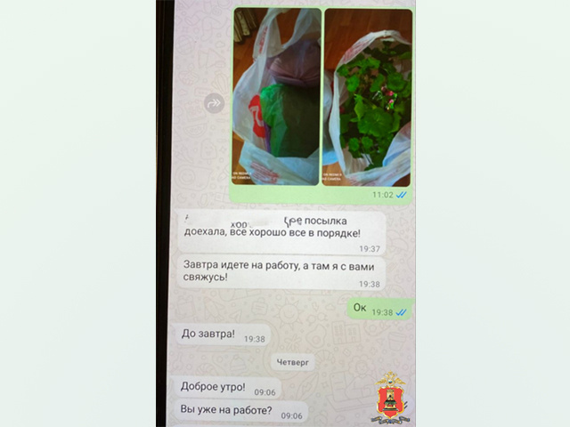 300 тысяч в цветочном горшке отправила мошенникам женщина из Тверской области