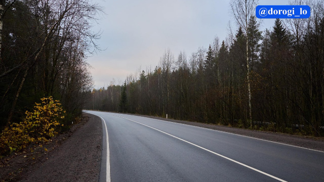 Фото: Dorogi_lo/telegram