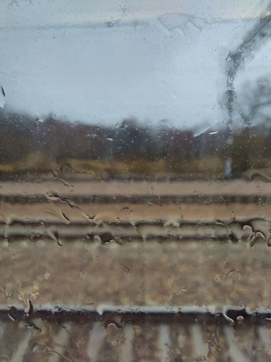 Фото из личного архива