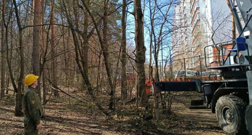    Комитет лесного хозяйства Московской области