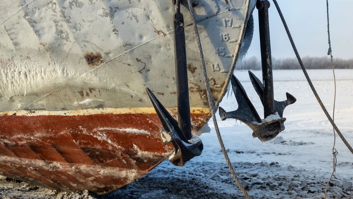    Фото: Федор Воронов/«Ямал-Медиа»