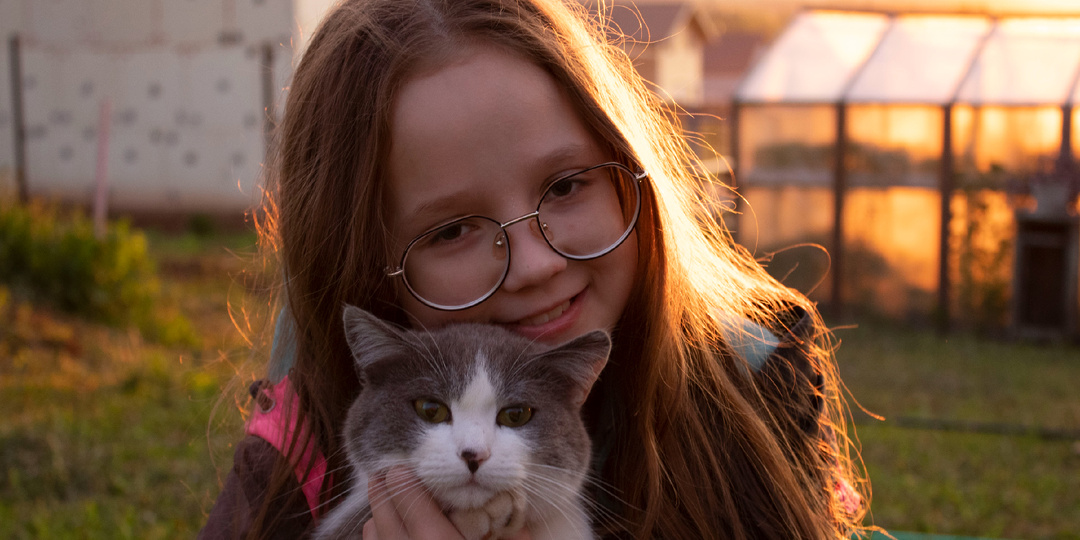 Кошачья история. Часть 2