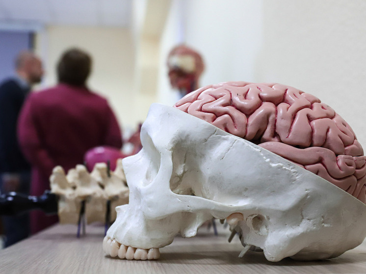     ФОТО: Razmik Zackaryan/ URA.RU/ Global Look Press