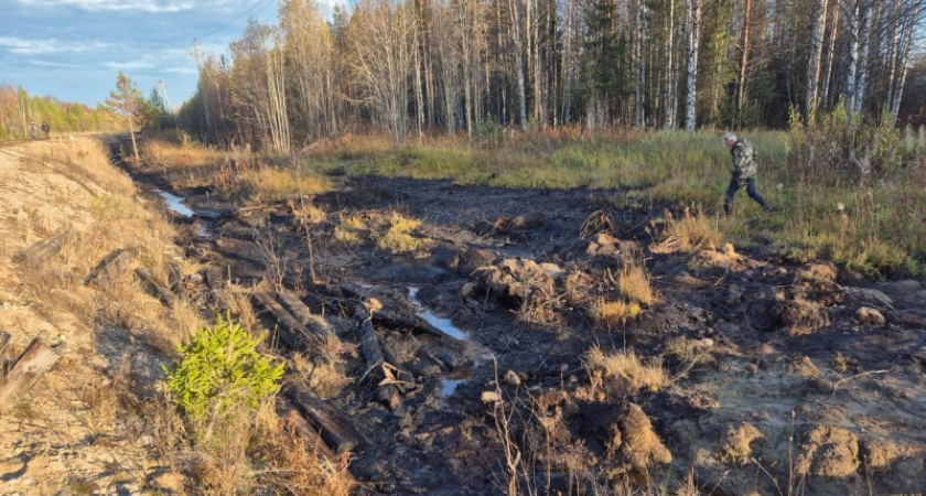    Экологическая проверка в Коми выявила лидеров и аутсайдеров среди нефтяных компаний