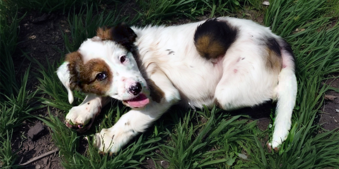 Неизвестность