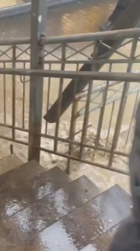  Фото: кадр видео из группы 