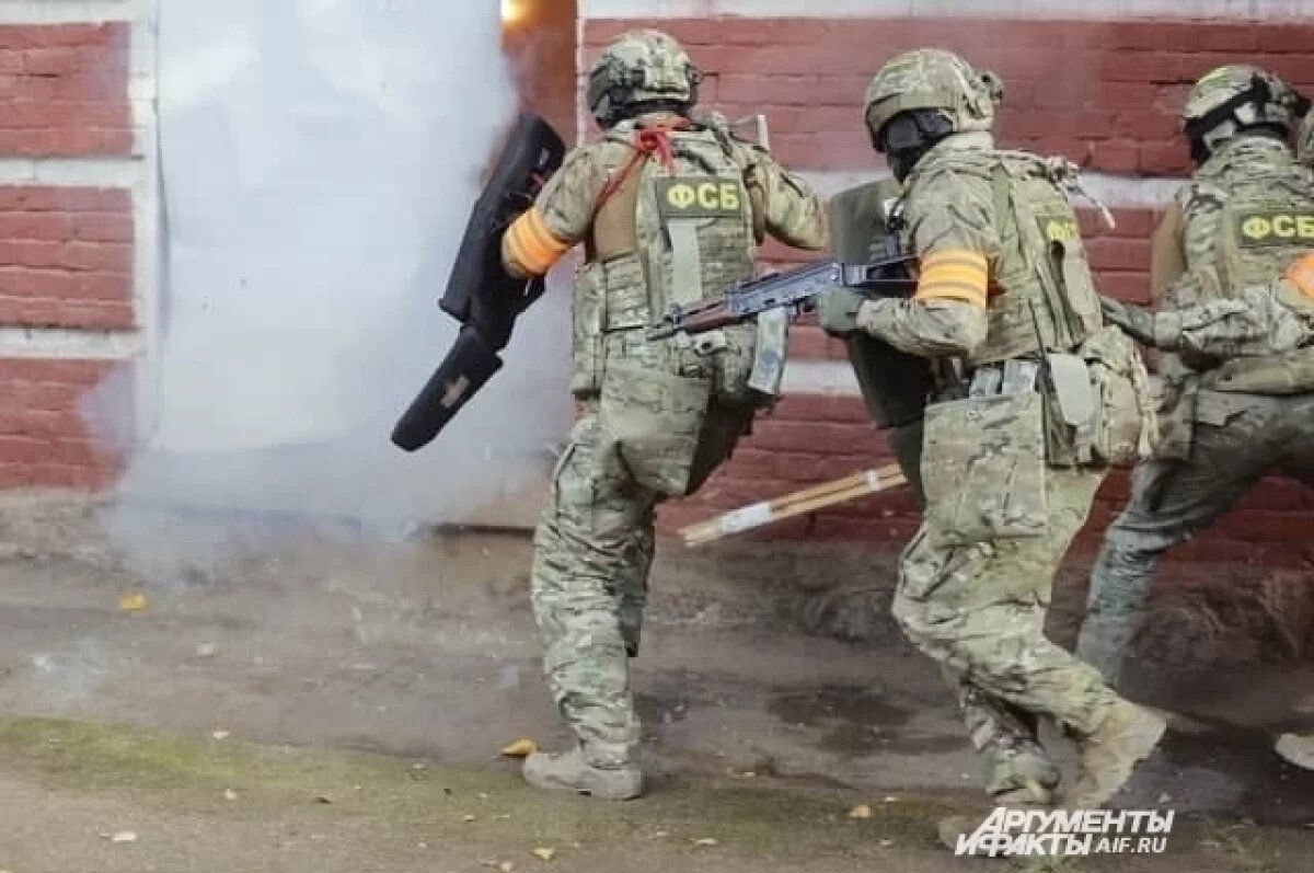    В Удмуртии ФСБ пресекла межрегиональный сбыт 700 кг наркотиков