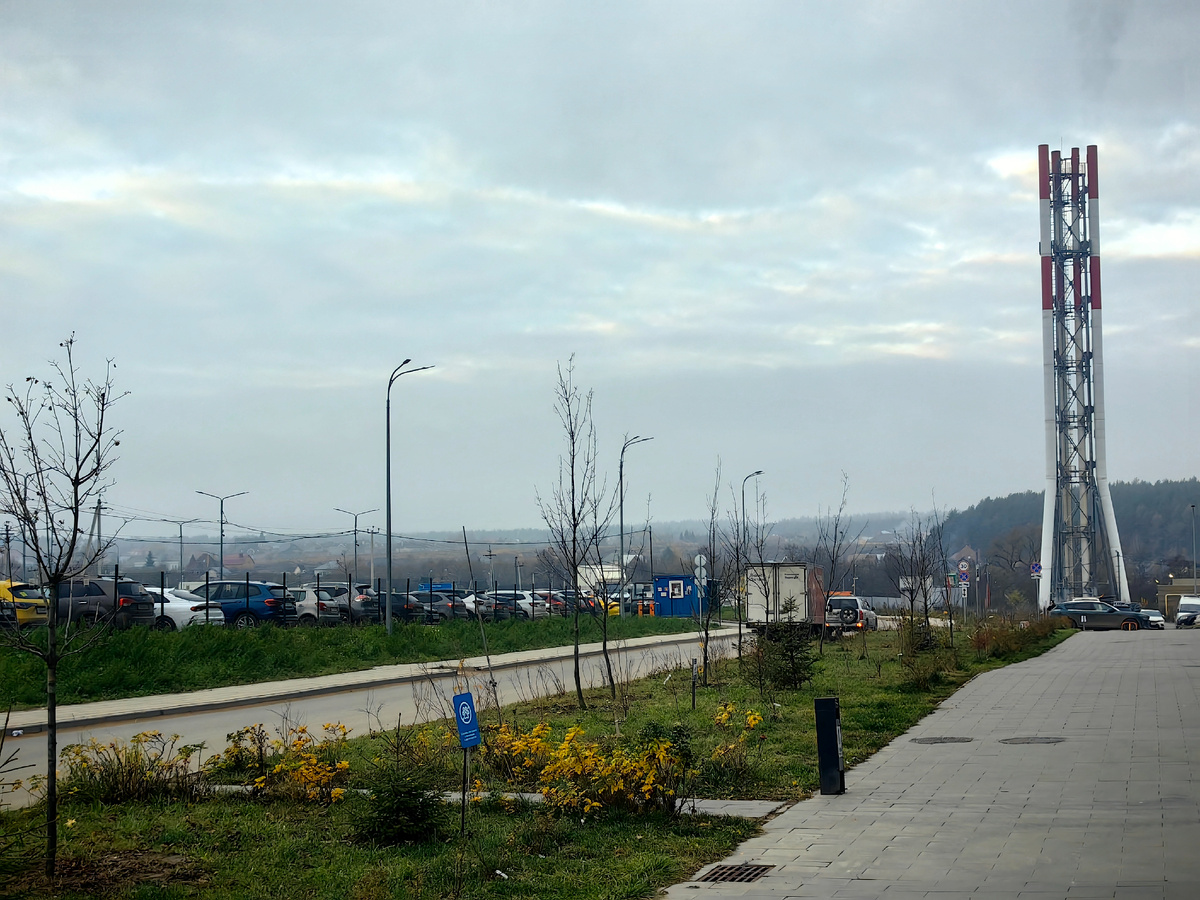 Дорога к лесу