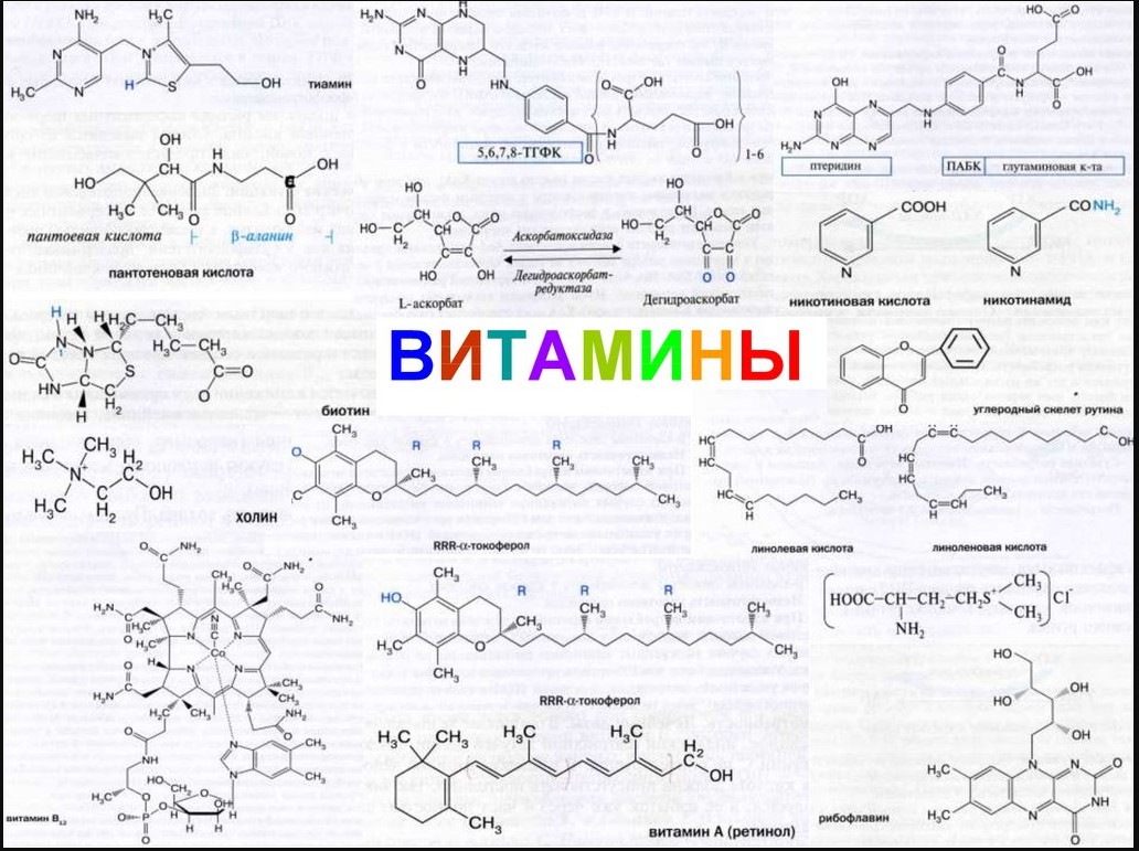Витамины, структурные формулы. Картинка из сети