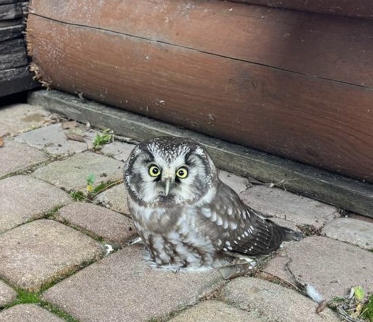 Что происходит? Где я?😊