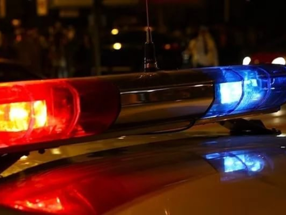    Фото: t.me/gumvd50