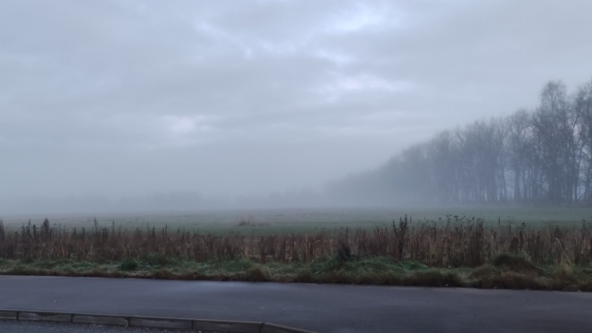 Утро туманное