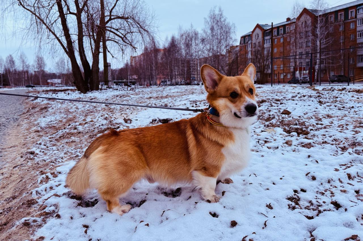 Фото: Телеграм-канал Петра Вагина