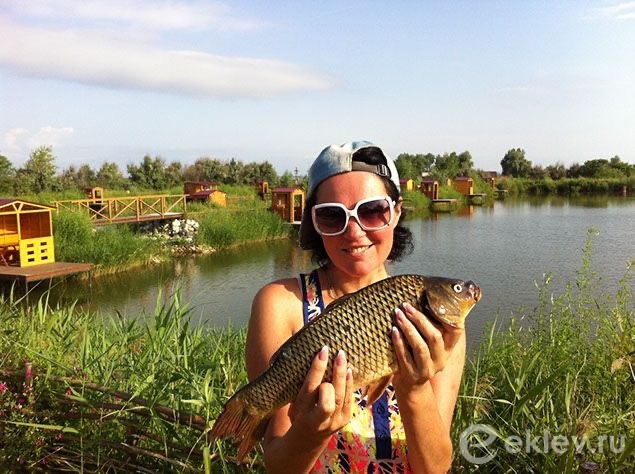 Улов в «Планета»
