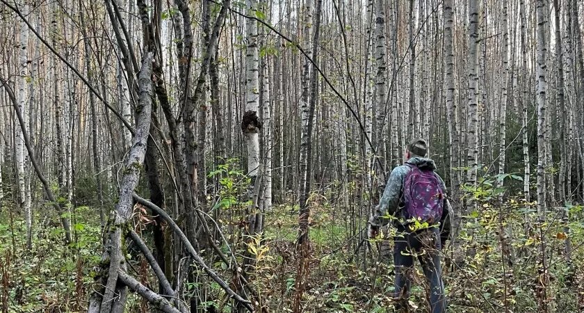    Домокомплект из бревна отправлен из Кировской области в Казахстан