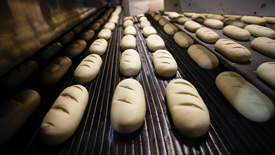 Автор фото: Сергей Коньков / "Деловой Петербург"