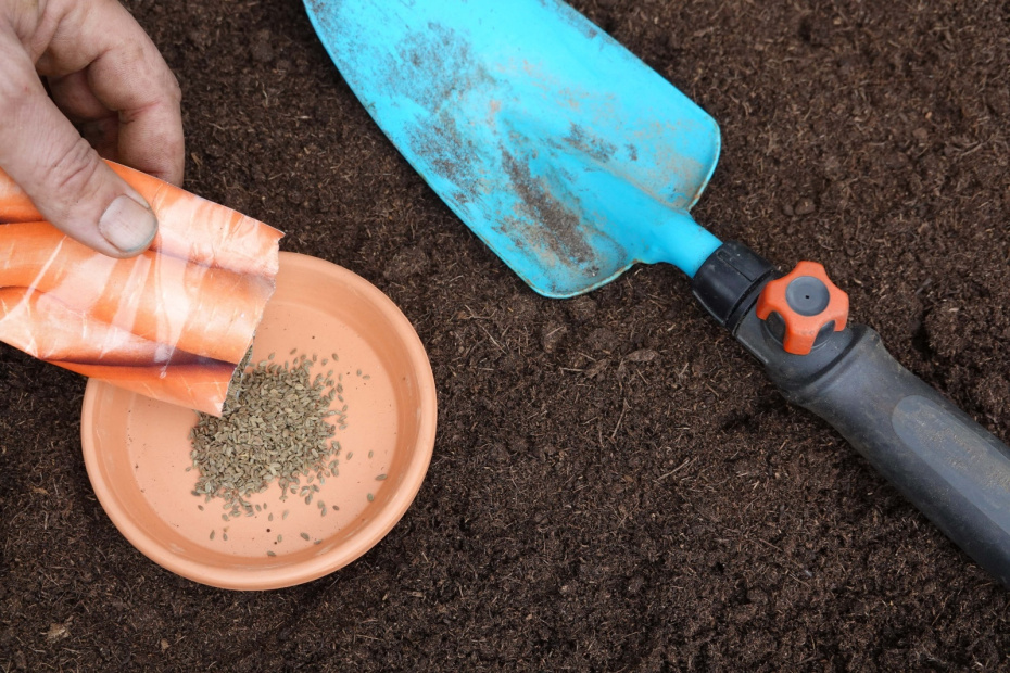    Shutterstock/FOTODOM