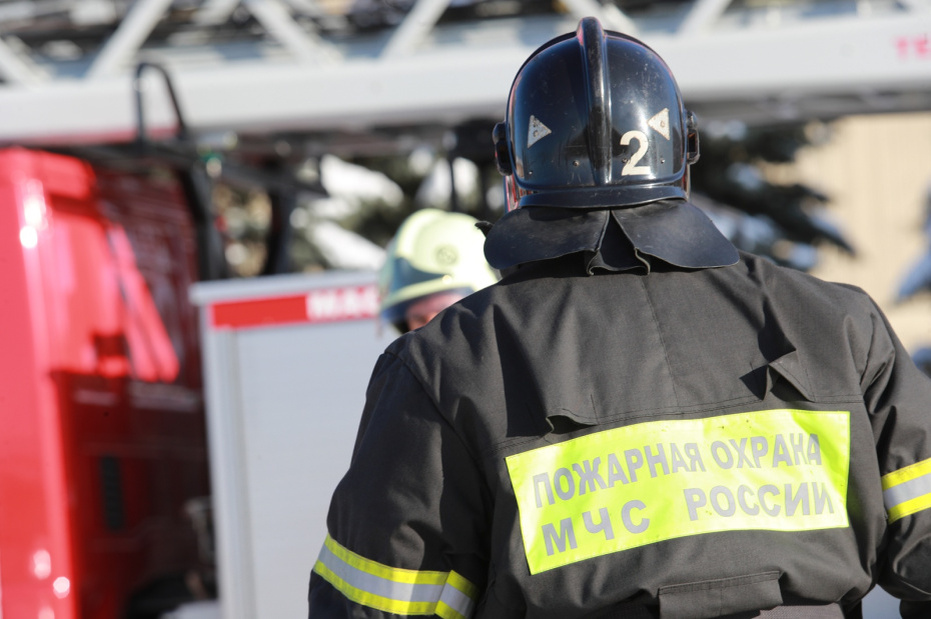    Сергей Булкин/NEWS.ru