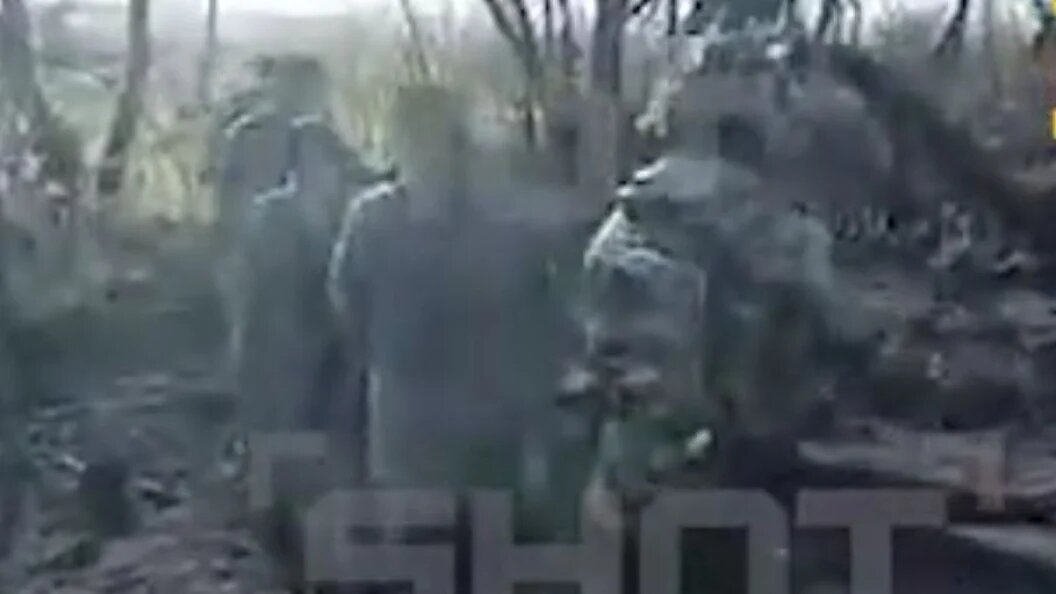    Массовая сдача в плен украинских военных попала на видео. Фото: Shot