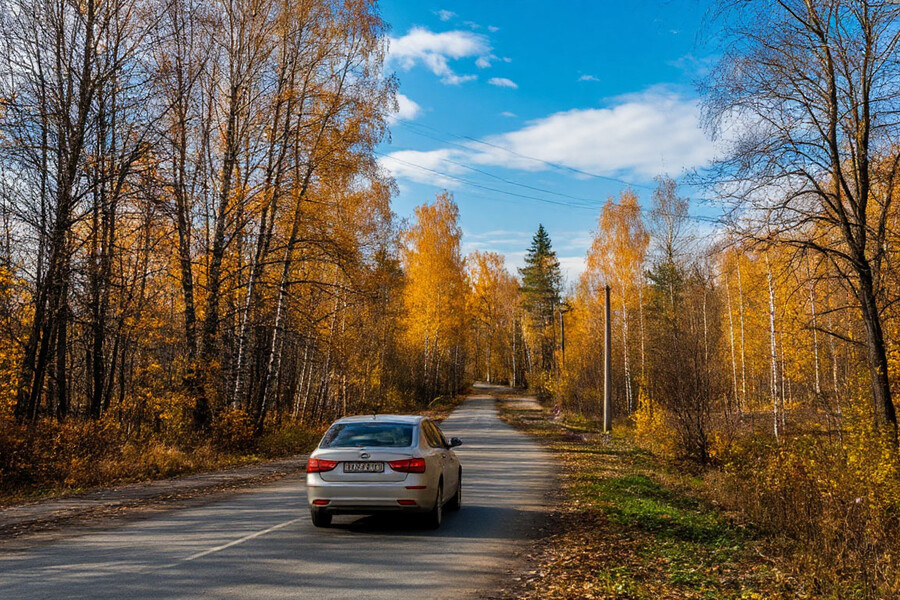    Фото: Шедеврум