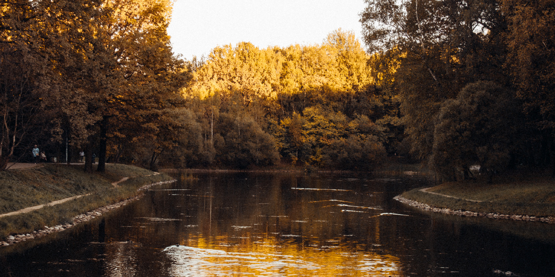 Гид по настроению: какой парк выбрать для прогулки