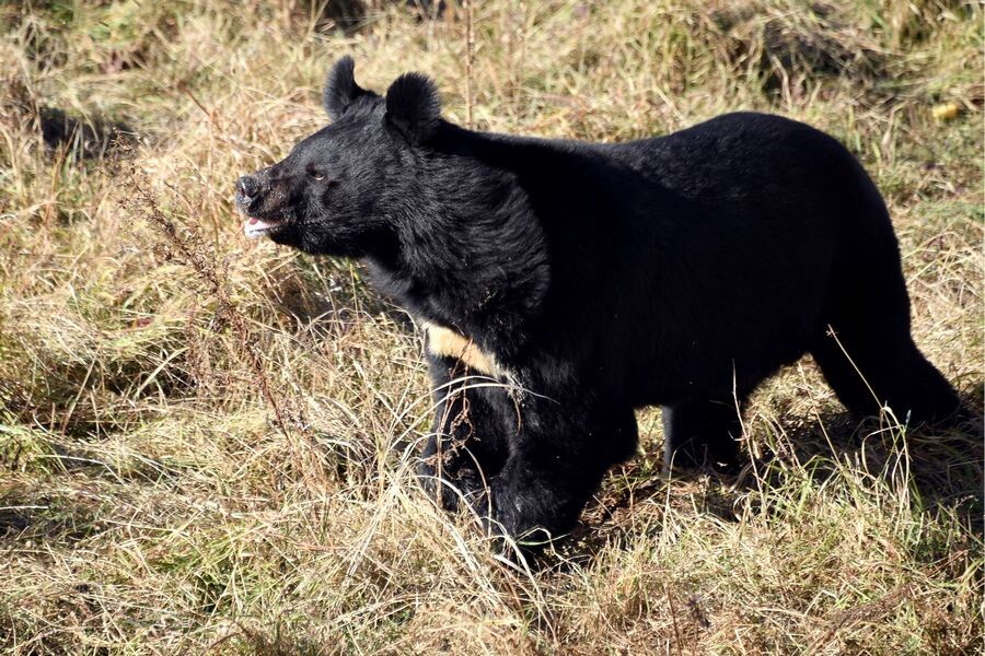     / Источник: © Юрий Смитюк/ТАСС