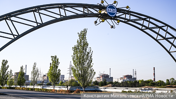     Фото: Константин Михальчевский/РИА Новости   
 Текст: Вера Басилая