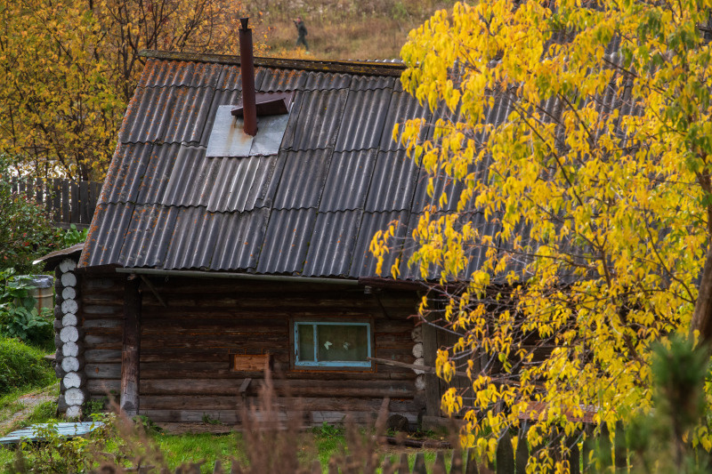    Фото: Ilya Moskovets/Globallookpress