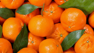    stock.adobe.com Юлия Виноградова