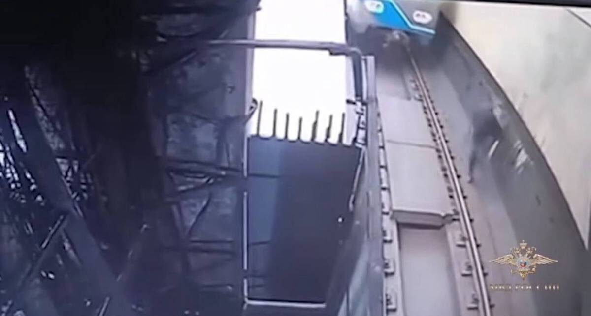    Фото: Скриншот видео / Ирина Волк / Telegram