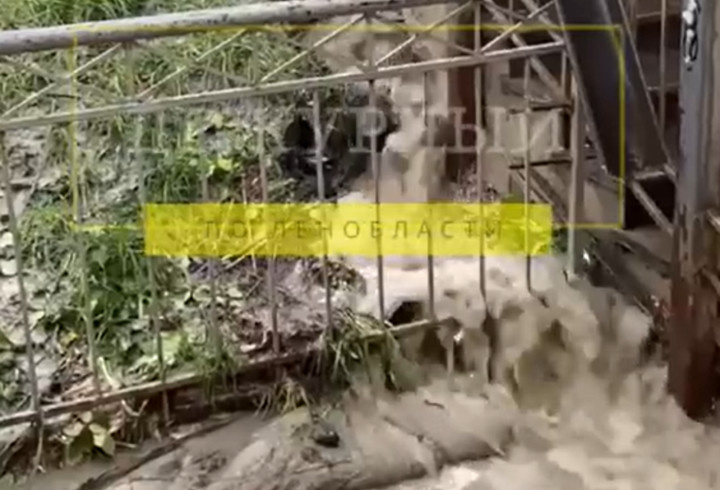 фото: Дежурный по Ленобласти