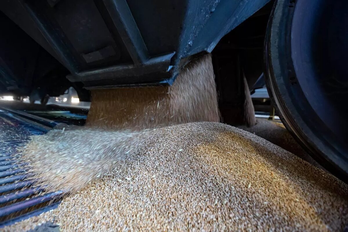 © Photo : Минтранс России