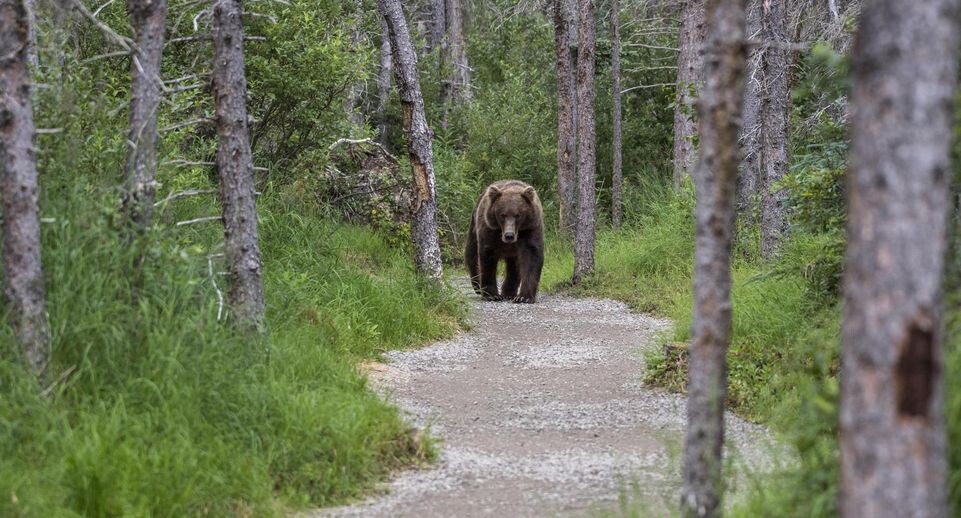    Robert Haasmann/imageBROKER.com / www.globallookpress.com