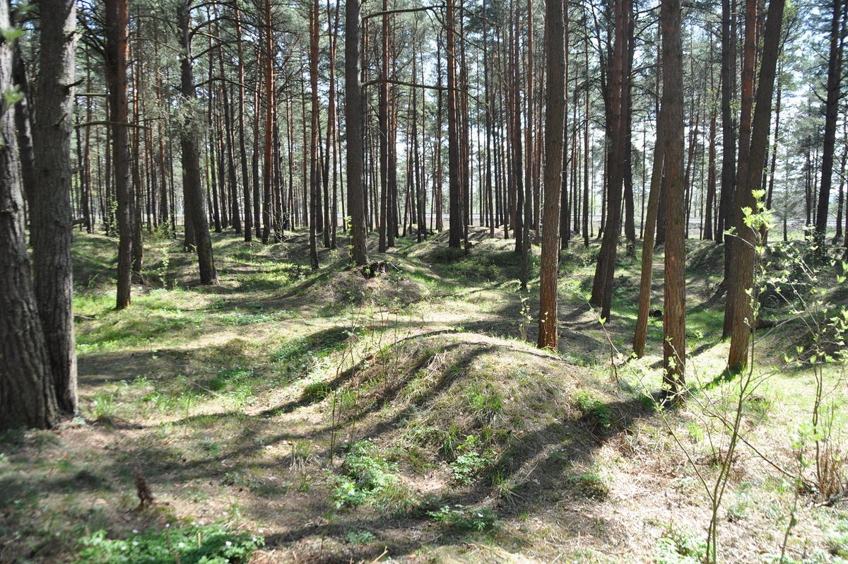 Большинство курганов выглядит неприметно. Но в каждом из них - частичка нашей истории. И их тут тысячи! 