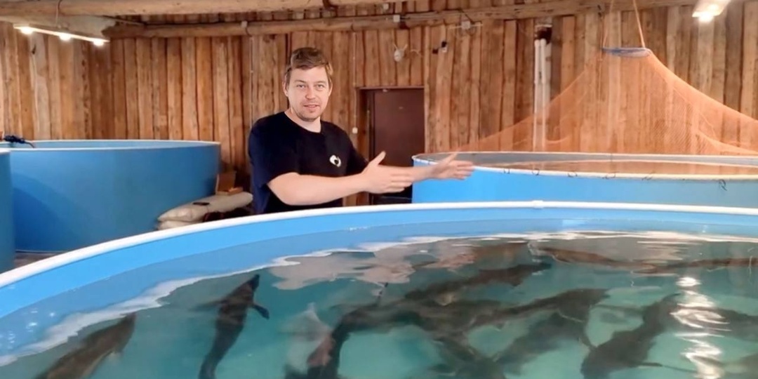 Это золотая жила? Разбор бизнеса на разведении рыбы в УЗВ с цифрами: вложения и прибыль.